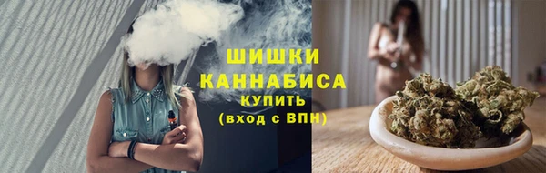 дурь Бронницы