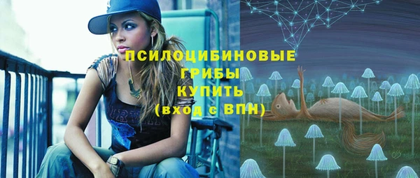 экстази Богородск