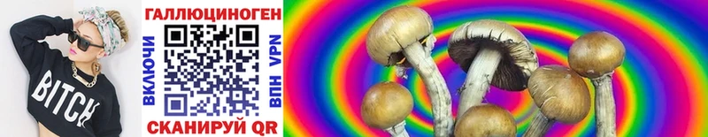 купить наркотики сайты  Кириши  Псилоцибиновые грибы Cubensis 